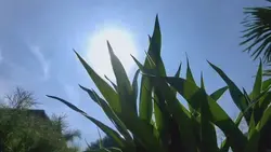 Video Aesthetic