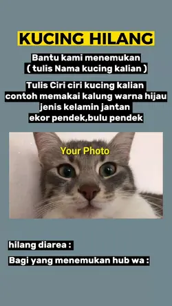 Poster Kucing Hilang