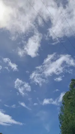 vlog mini