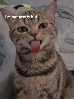 I'm not pretty 