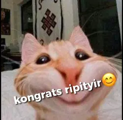 buat ultah tmn