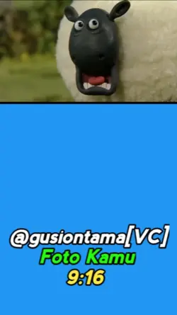 meme kocak 