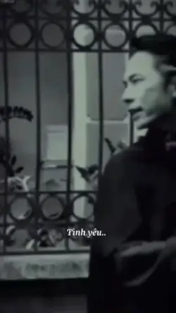 Mẫu 61