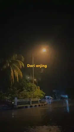 Belajar Dari Anjing 