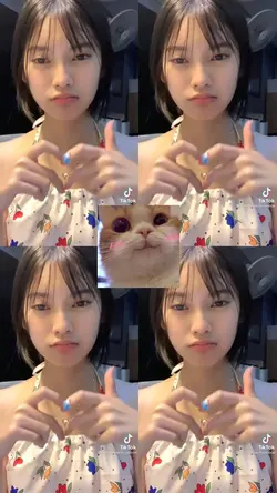 4ช่องรูปแมวตรงกลาง