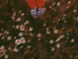 lyrics 