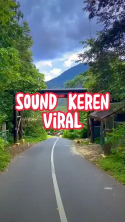 viral tiktok