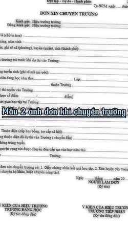 Mẫu beat 2 ảnh
