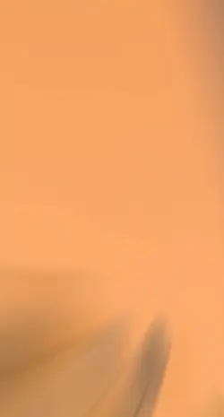 31 ảnh