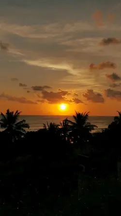 Sun Vlog