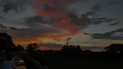 Random vids