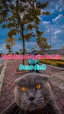 Beat đỉnh