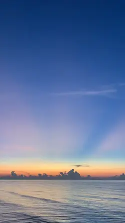 Bởi vì là khi yêu