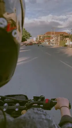 Harleys in hawaii