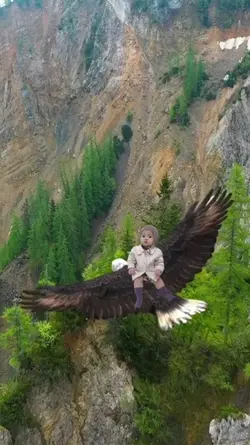 ANAK NAIK BURUNG
