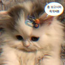 3D줌으로 친구에게 보여주세여