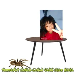  mati labah-labah
