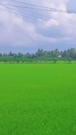 1 ảnh + lyrics 