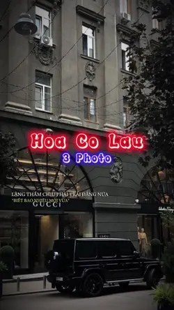 Hoa Cỏ Lau