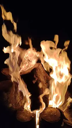 api