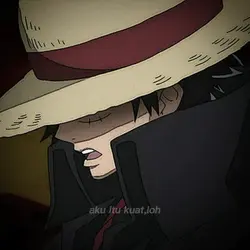 ter luffy luffy