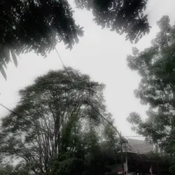 snowfall
