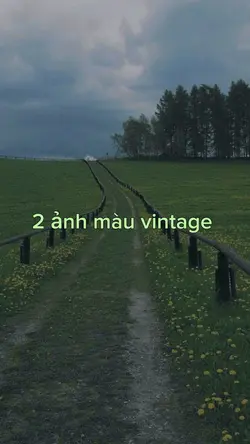 2 ảnh vintage 