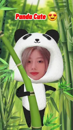 Gấu Panda Cute