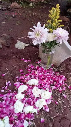 ingin ku ulang hari