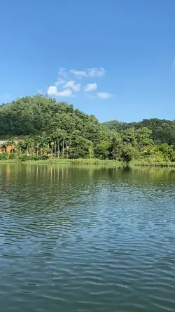Về quê