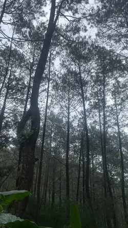 healing time🌥️