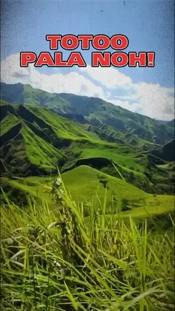 Totoo Pala Noh!