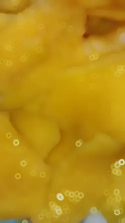 Tutorial Cook