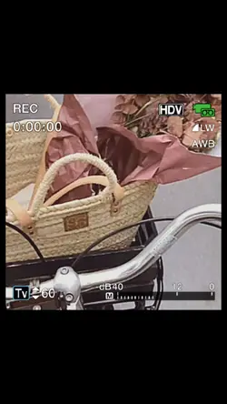 mini vlog