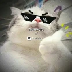 #new trend tiktok 