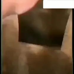 idk