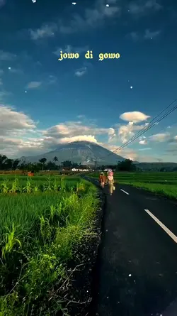 Jowo Digowo