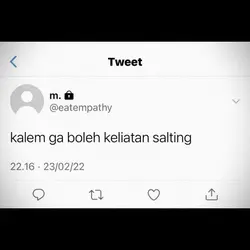 ss chat salting