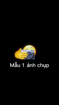 Mẫu 1 ảnh
