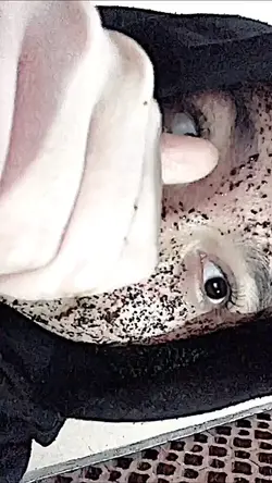 pap masker🐣