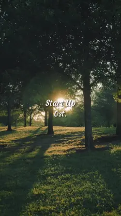StartUp Ost.