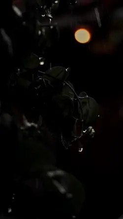 CG DARKNESS