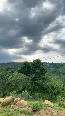 Nature trip 