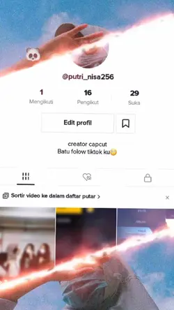 Tiktok X Orang nya