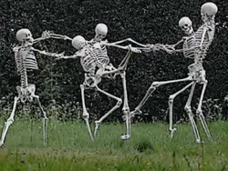 5 friend group 