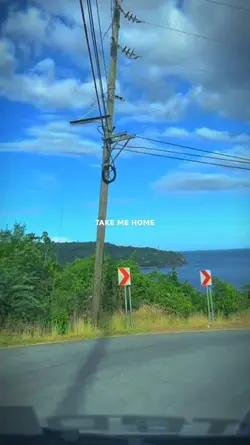Take Me Home