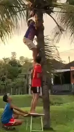 JATUH TOK DALANG