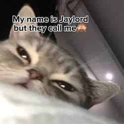 nickname