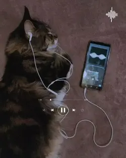 inggris vibes song