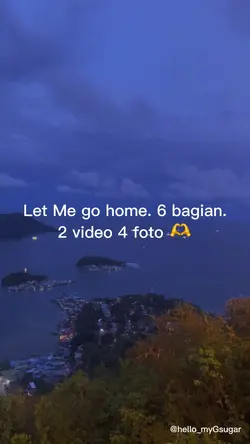 Let Me go home